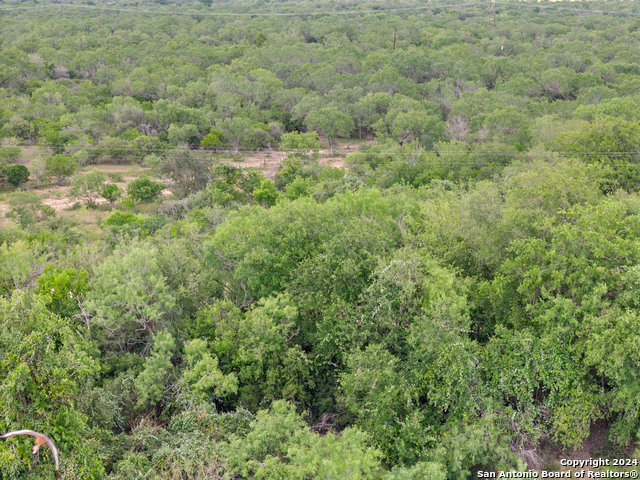 Image 45 of 90 For 1396 County Road 646