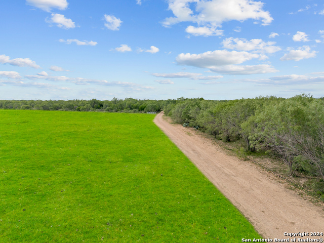 Image 49 of 90 For 1396 County Road 646