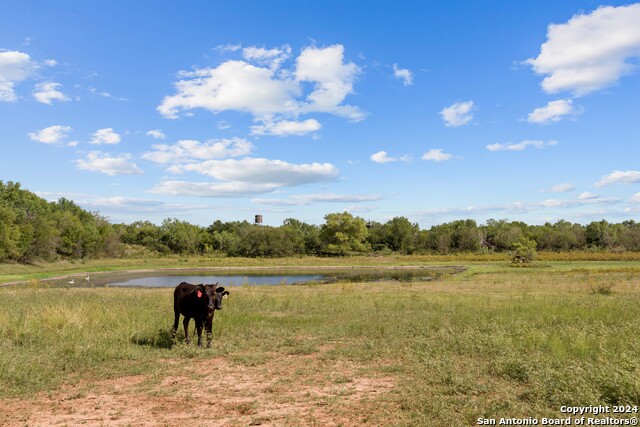 Image 68 of 90 For 1396 County Road 646