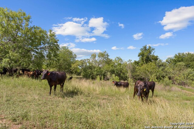 Image 70 of 90 For 1396 County Road 646