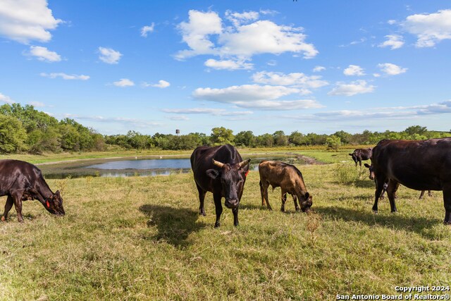 Image 71 of 90 For 1396 County Road 646