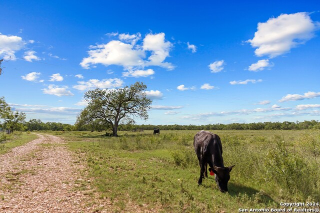 Image 75 of 90 For 1396 County Road 646