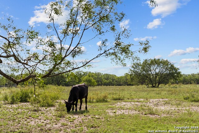 Image 77 of 90 For 1396 County Road 646