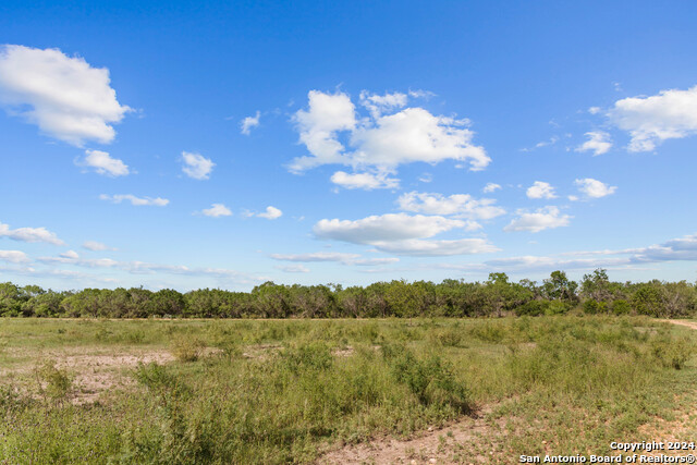 Image 84 of 90 For 1396 County Road 646