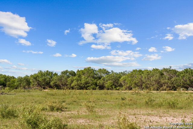 Image 85 of 90 For 1396 County Road 646