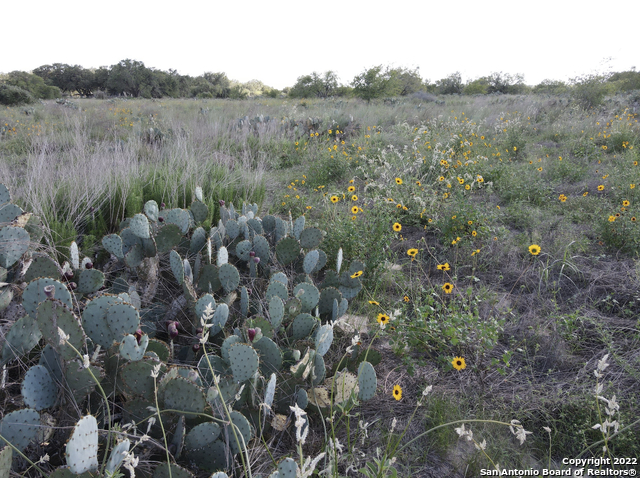 Image 9 of 12 For Tbd Tract 6 Pr Two A Ln