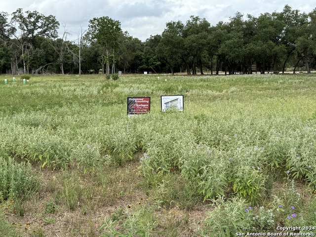 Details for 1103 12th Street, Blanco, TX 78606