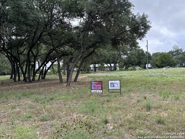 Details for 902 11th Street, Blanco, TX 78606