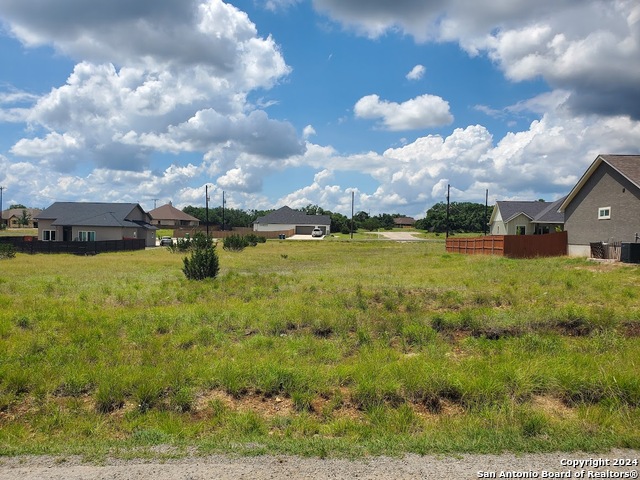 Details for 118 Warren Wallace, Blanco, TX 78606