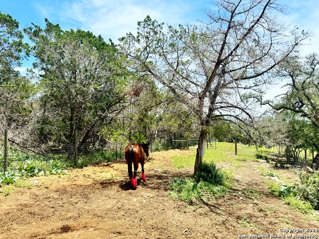 Image 17 of 58 For 133 Deer Haven Lane