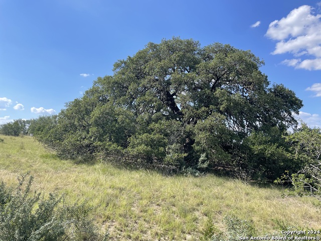 Image 8 of 10 For Tract 94 Winans Creek Ranch, 10.03 Acre