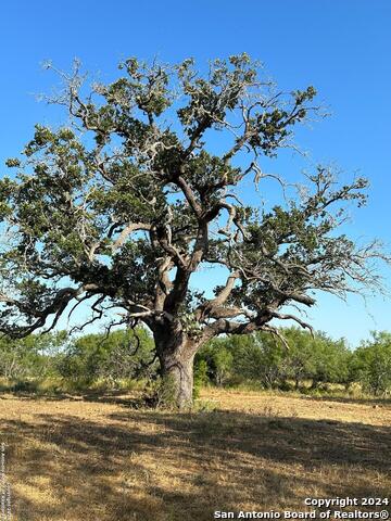 Image 5 of 6 For 6 Old Pearsall Rd