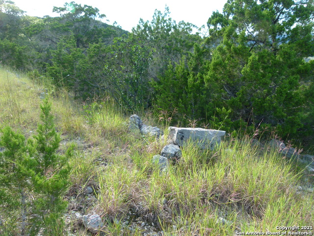 Image 8 of 24 For 1300 Goat Ridge S