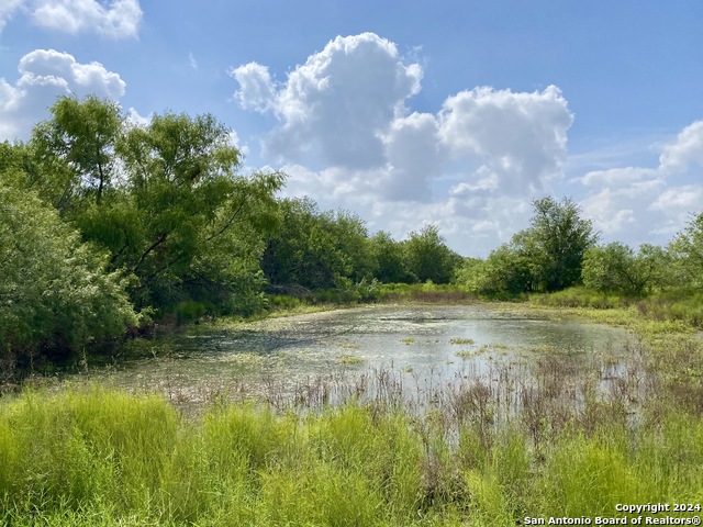 Listing photo id 10 for Tbd Shale Road