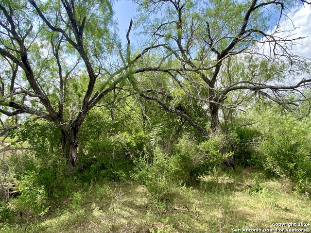 Listing photo id 11 for Tbd Shale Road