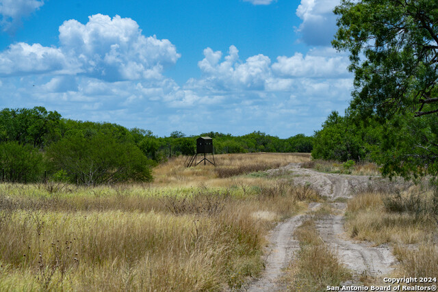 Image 4 of 69 For 2769 Highway 37 S