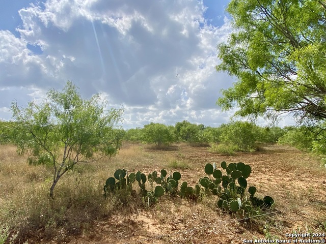 Image 13 of 20 For Tbd Shale Rd