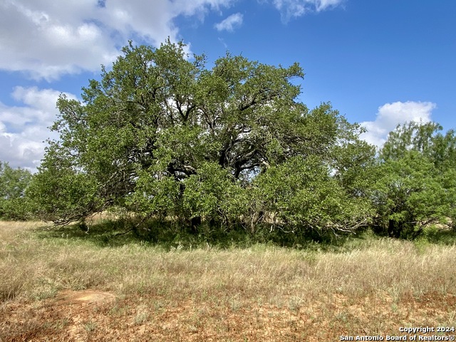 Image 9 of 20 For Tbd Shale Rd