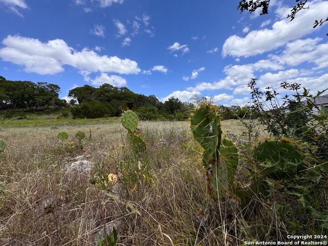 Image 13 of 13 For 329 Arthur Ct