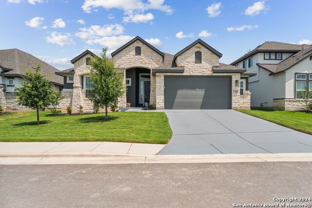 118 Canyon Live Oak