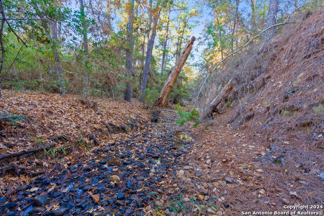 Image 8 of 13 For Tbd Hekili Dr