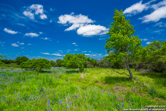 Details for 0 Jung Road  , Harper, TX 78631