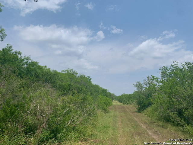 Image 8 of 18 For 4552 Mineral Cemetery Rd