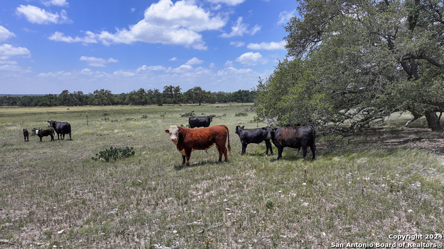 Image 9 of 10 For 11 2970 Ranch Road 783