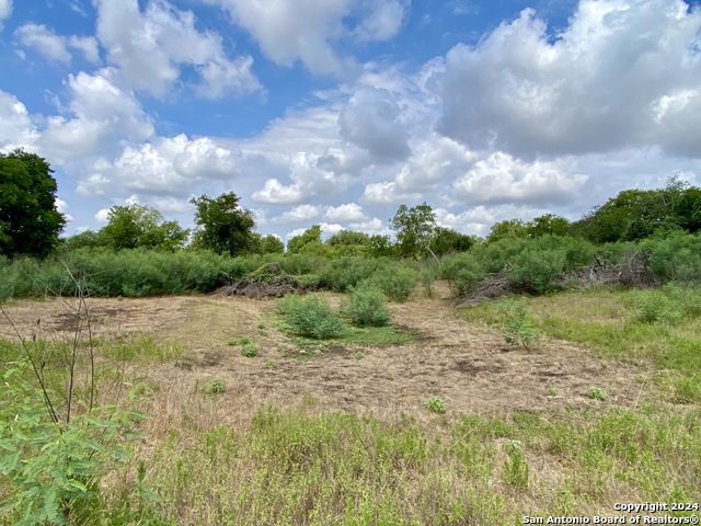 Image 11 of 12 For Tbd Cr 221  