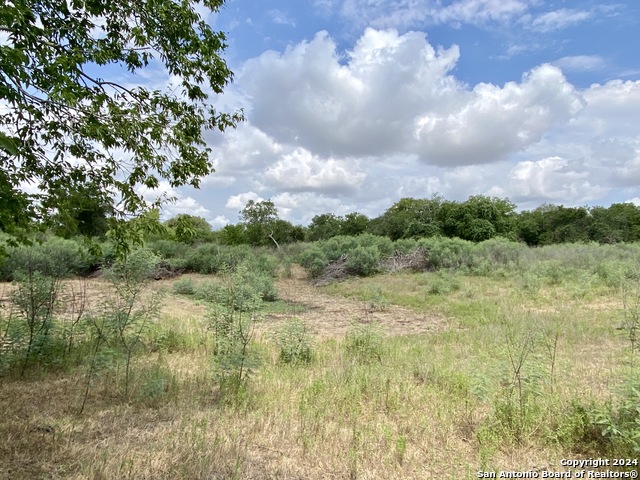 Image 6 of 12 For Tbd Cr 221  