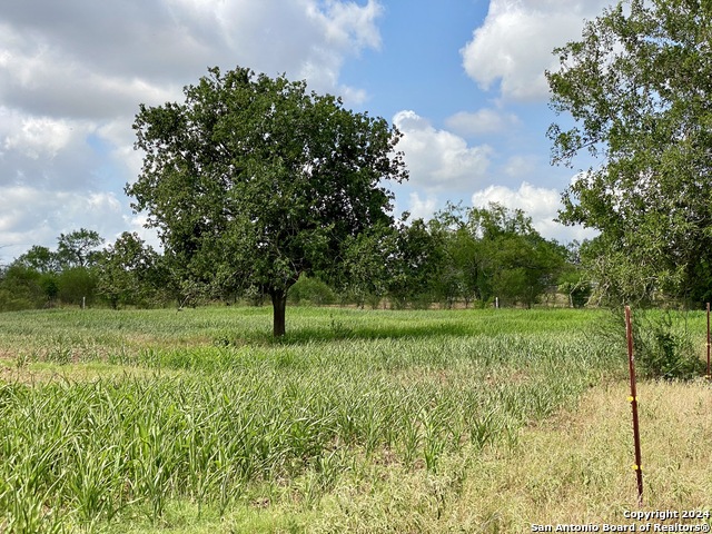 Image 9 of 12 For Tbd Cr 221  