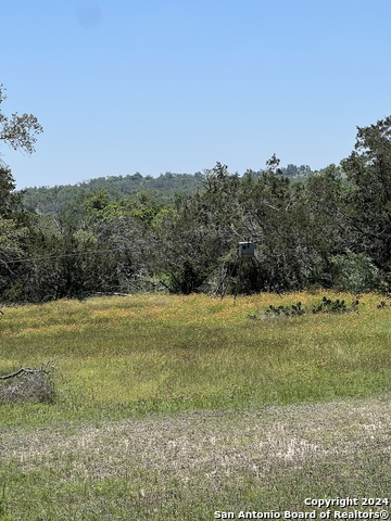 Image 6 of 29 For 1984 North Grape Creek Rd