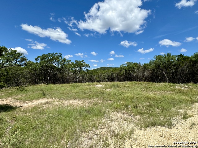 Details for Lot 264 Pr 1709, Mico, TX 78056