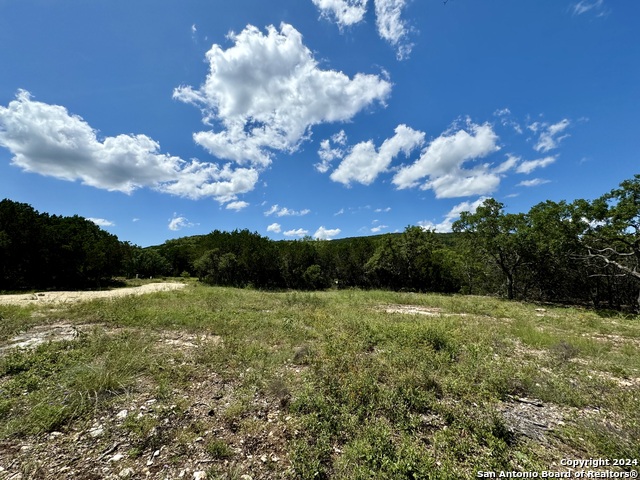 Image 13 of 22 For Lot 264 Pr 1709