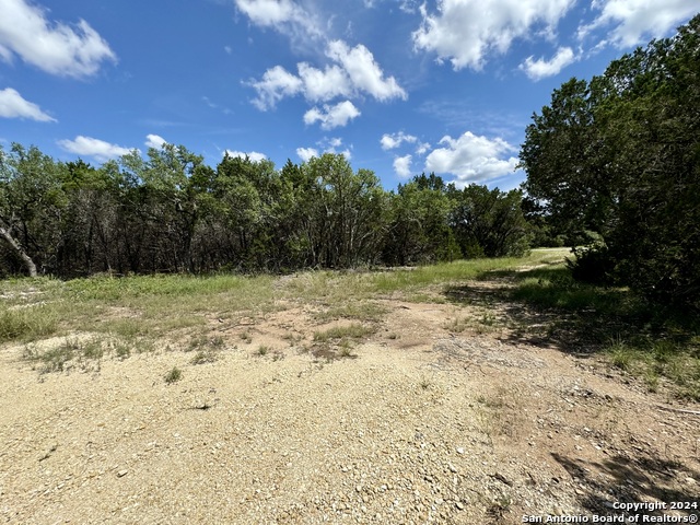 Image 14 of 22 For Lot 264 Pr 1709