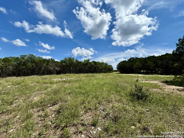 Image 8 of 22 For Lot 264 Pr 1709