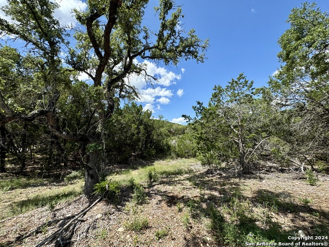 Image 9 of 22 For Lot 264 Pr 1709