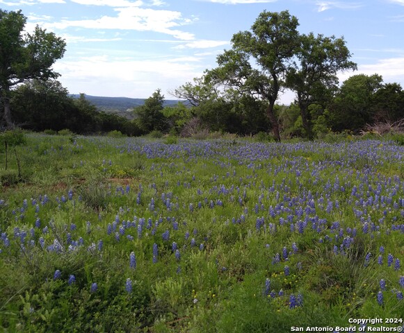 Image 3 of 11 For 170 Acres Cedar Trail S