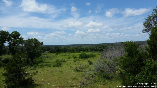 Image 5 of 11 For 170 Acres Cedar Trail S