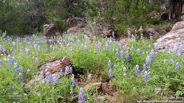 Image 2 of 10 For 133 Acres Cedar Trail S