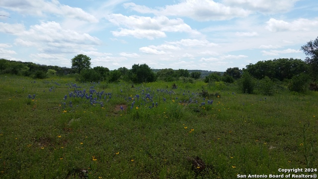 Image 8 of 10 For 133 Acres Cedar Trail S