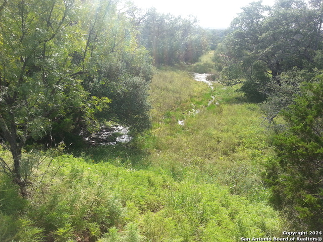 Image 9 of 10 For 133 Acres Cedar Trail S