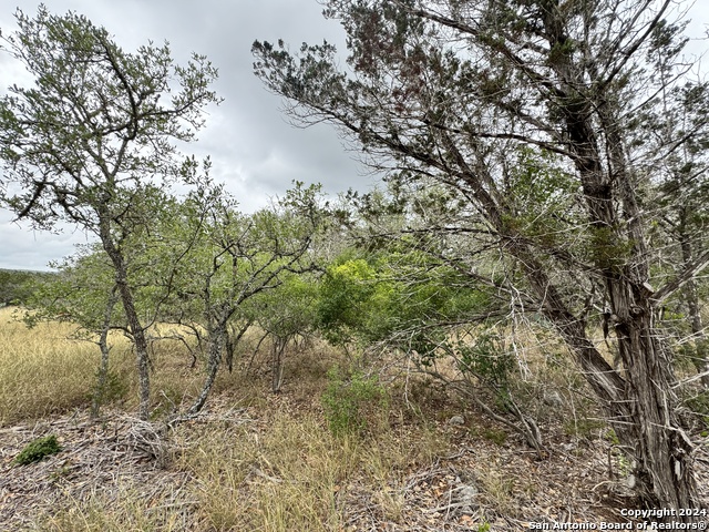 Image 8 of 17 For 1881 (lot 5) County Road 241