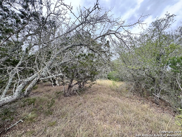 Image 9 of 17 For 1881 (lot 5) County Road 241