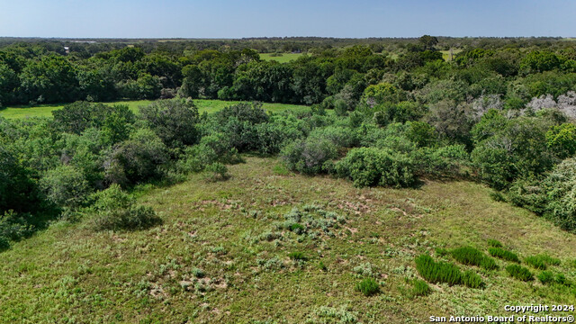 Listing photo id 21 for Tract 2 10+-- Acres County Road 426