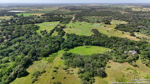 Listing photo id 23 for Tract 2 10+-- Acres County Road 426