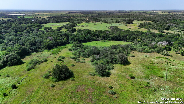 Listing photo id 24 for Tract 2 10+-- Acres County Road 426