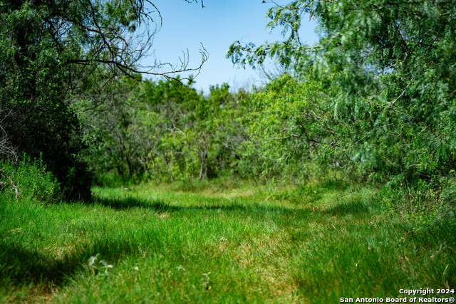 Listing photo id 27 for Tract 2 10+-- Acres County Road 426