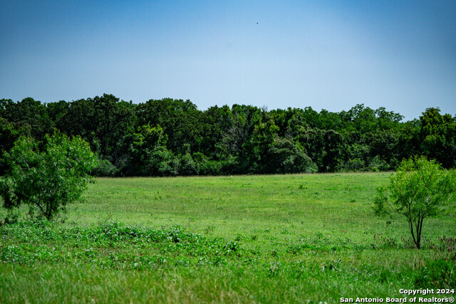 Listing photo id 28 for Tract 2 10+-- Acres County Road 426