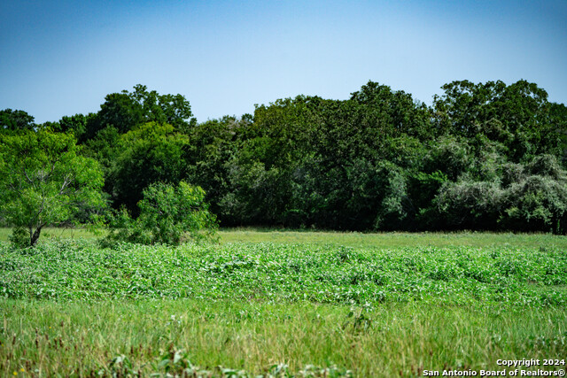 Listing photo id 29 for Tract 2 10+-- Acres County Road 426